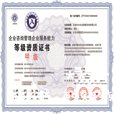 企业咨询管理企业服务能力等级资质证书招标投标 重点咨询服务