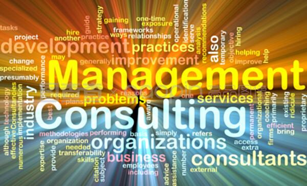 管理咨询 企业发展的智慧引擎